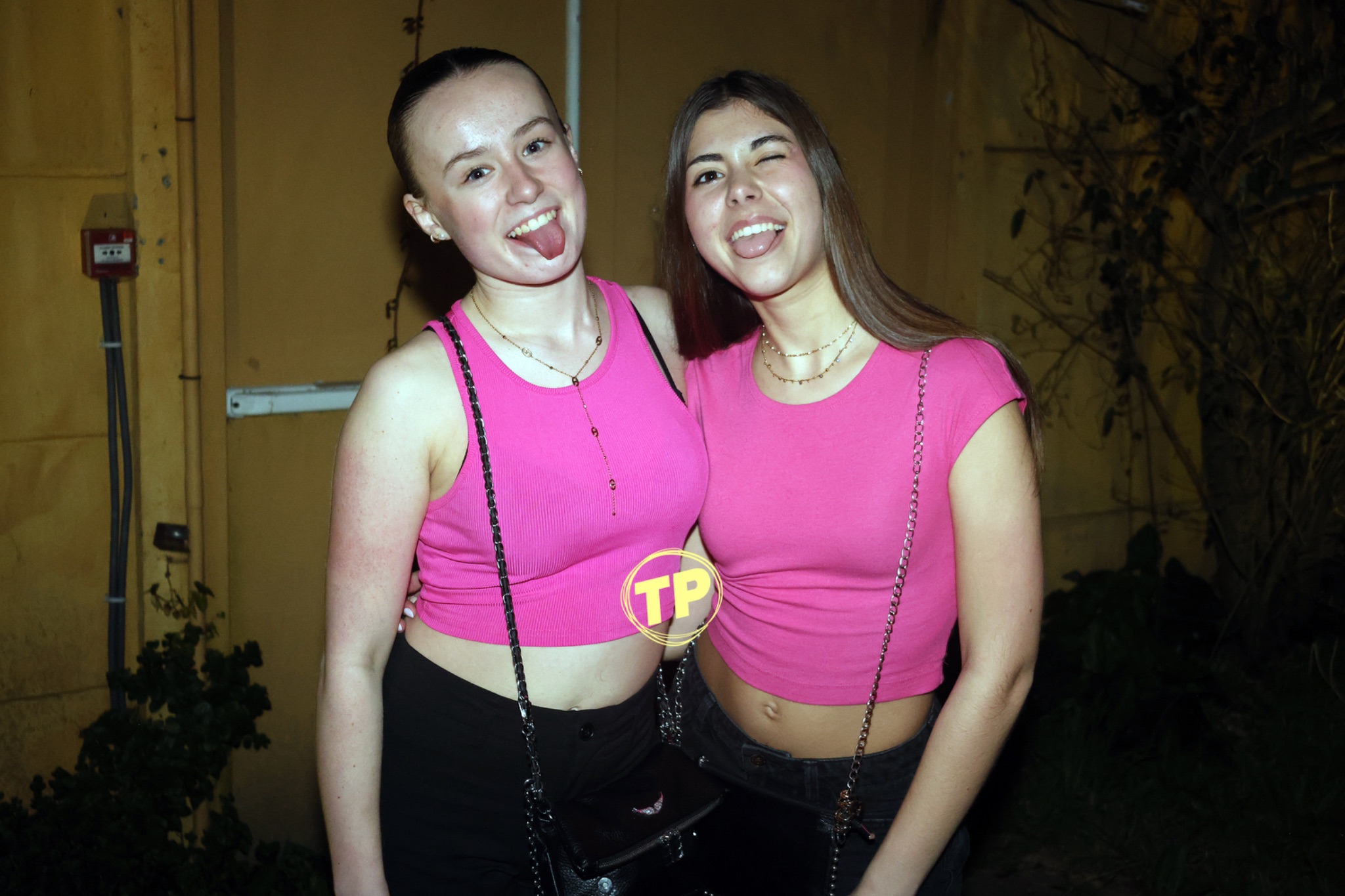 IMG 0593